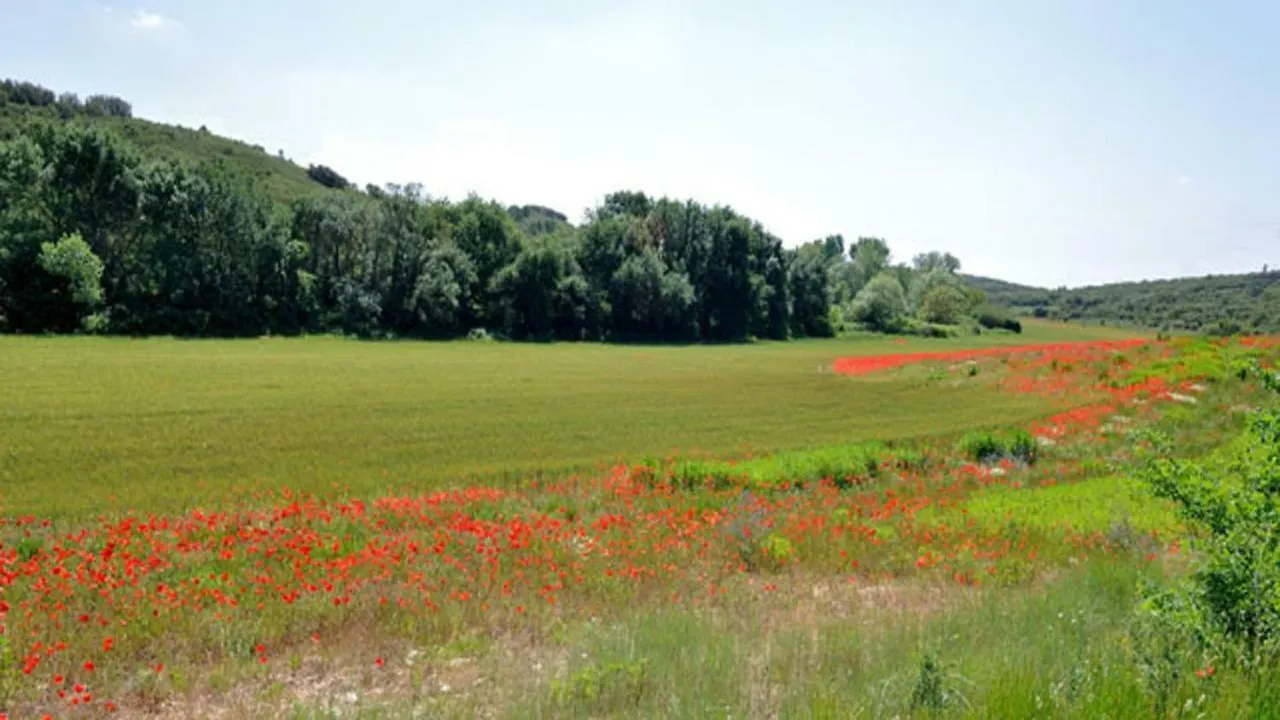 Holiday home Domaine Vallonguette Villa La Rouviere  France